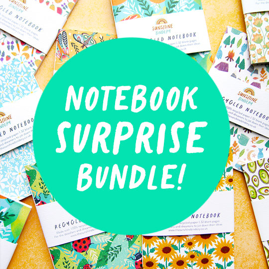 Notebook Surprise Bundle
