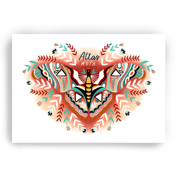 Atlas Moth Print